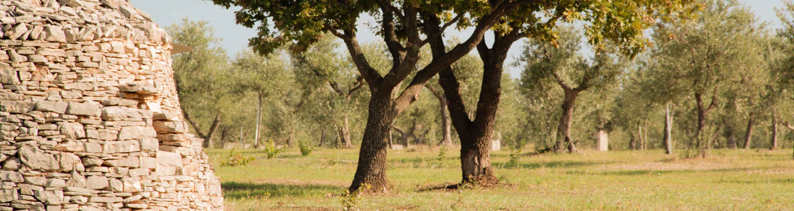 Terre di Sveva foto 4