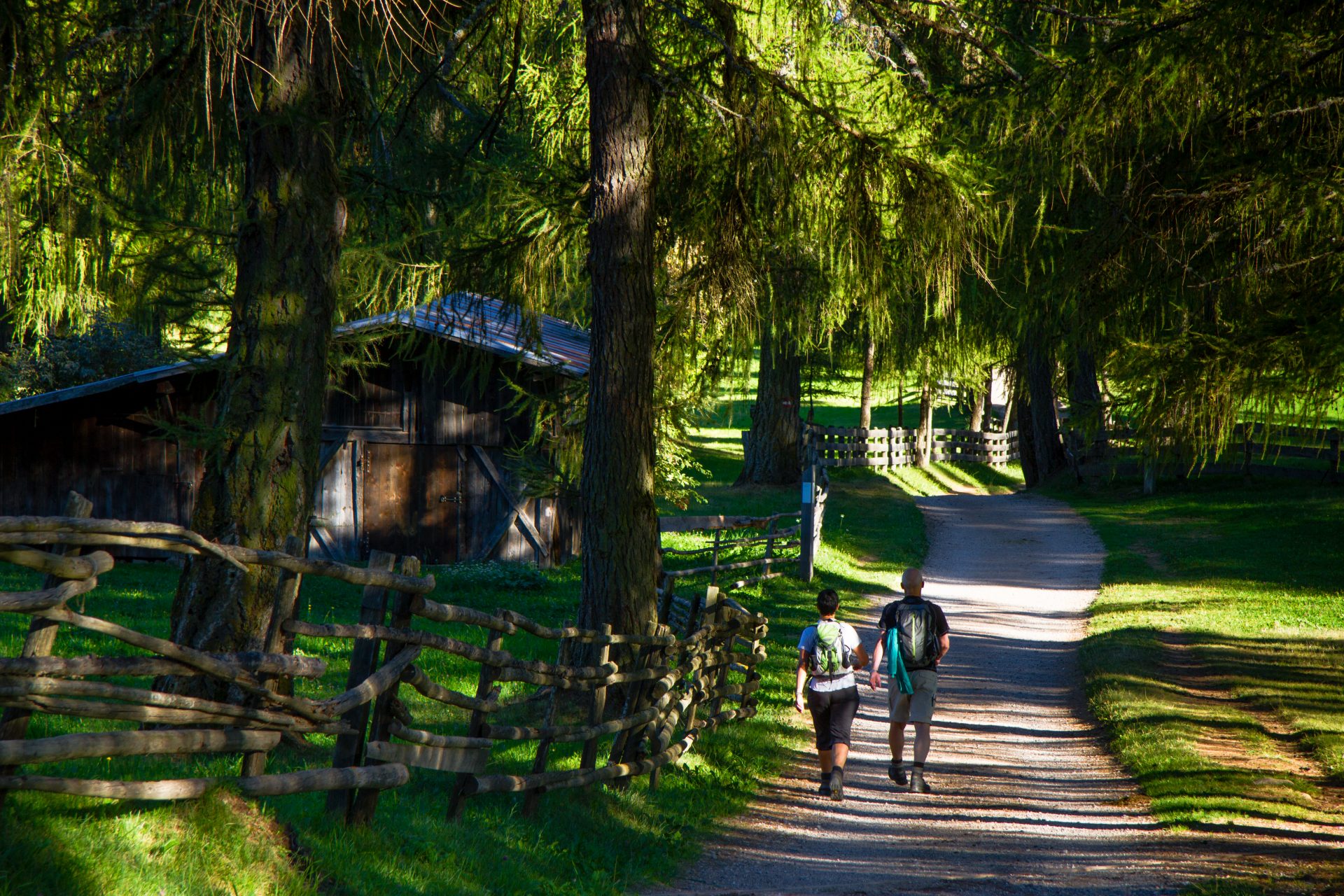 Garni B&B Birnbamerhof foto 4