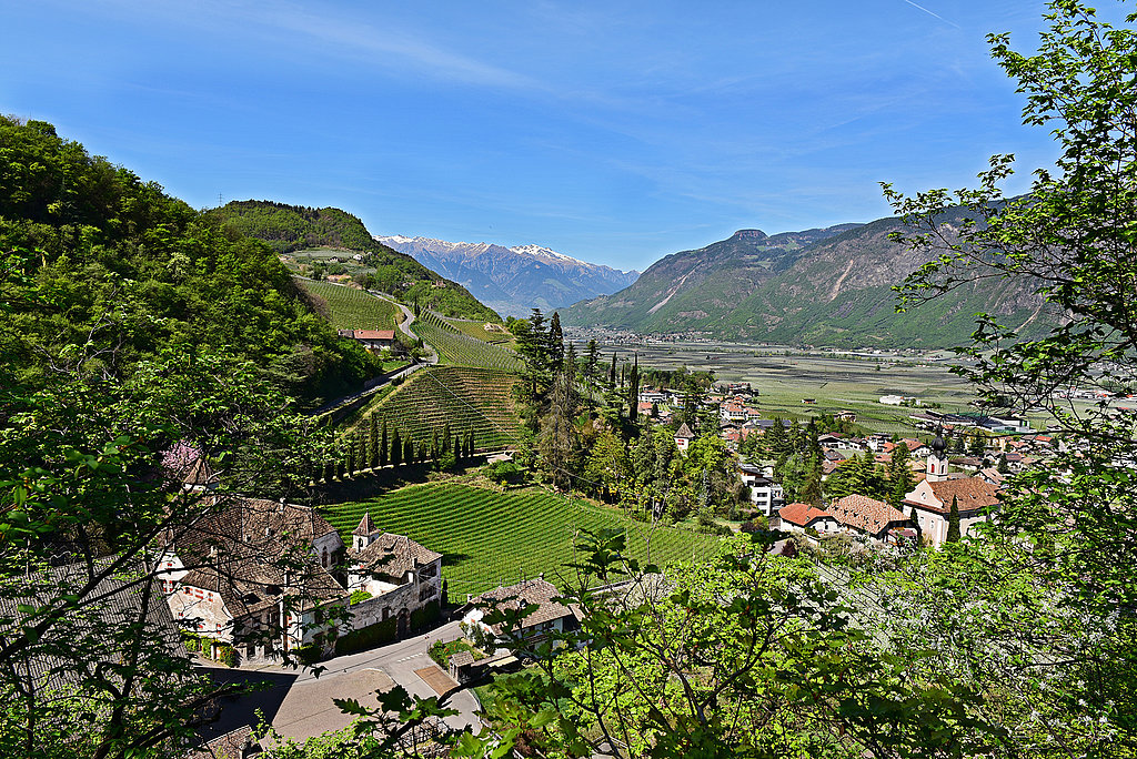 Garni Stamserhof foto 6