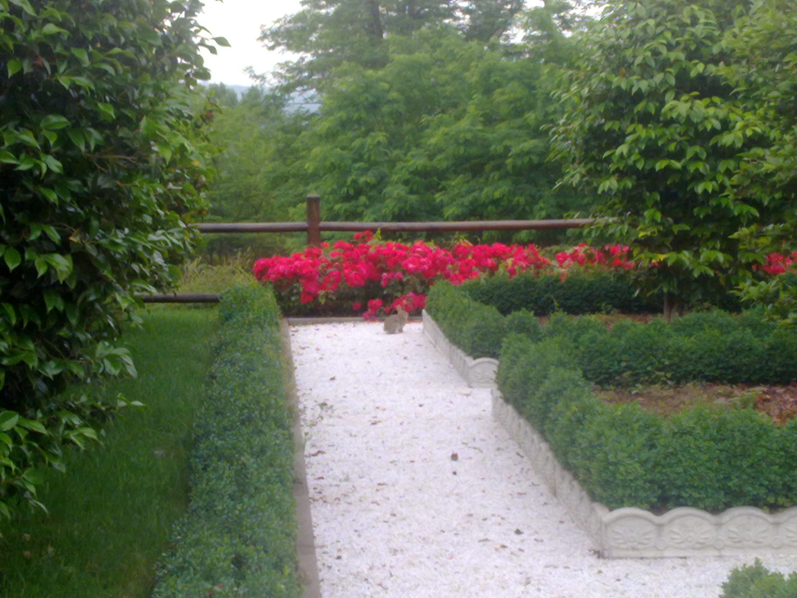 LA VIGNA - Agriturismo foto 5