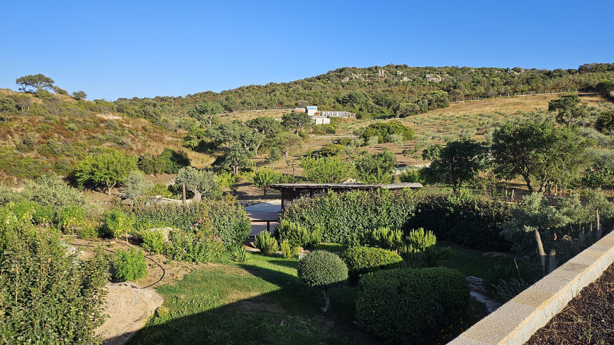 B&B Multaiola foto 2