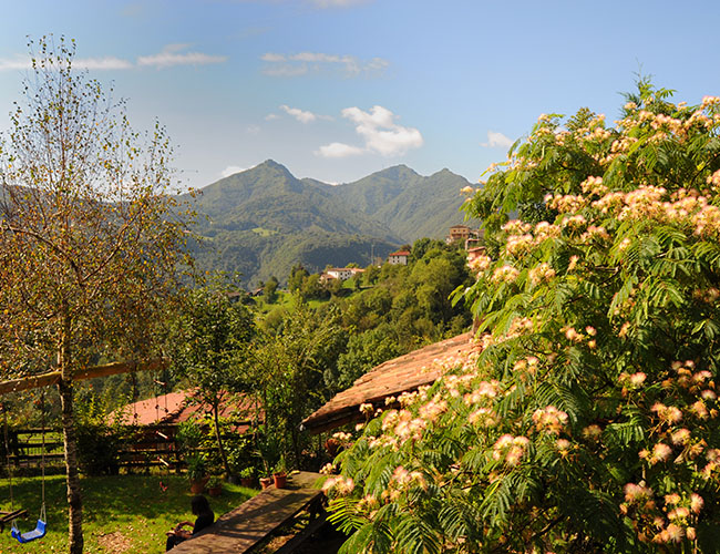 Agriturismo Le Cole foto 1