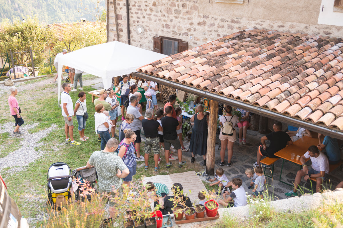 Azienda Agricola Terre Solive di Nabacino Giovanni foto 2