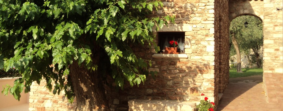B&B Giardini di Corte foto 1