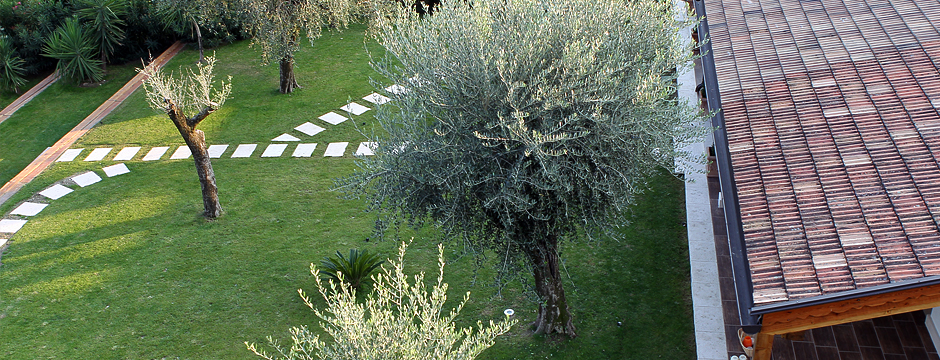 Villa Borgo degli Ulivi foto 3