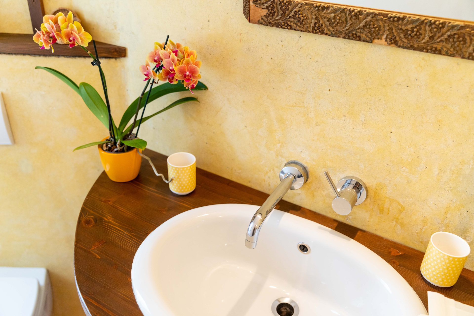 Bed and Breakfast "Il bel Giardinetto" Lago Maggiore foto 2