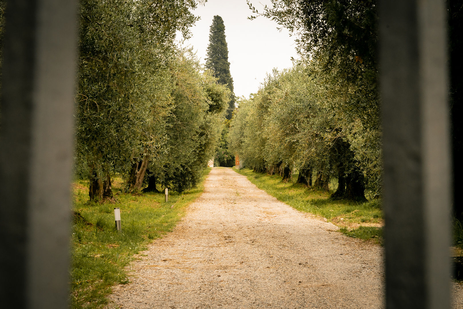 Agriturismo Podere Nigriano foto 4