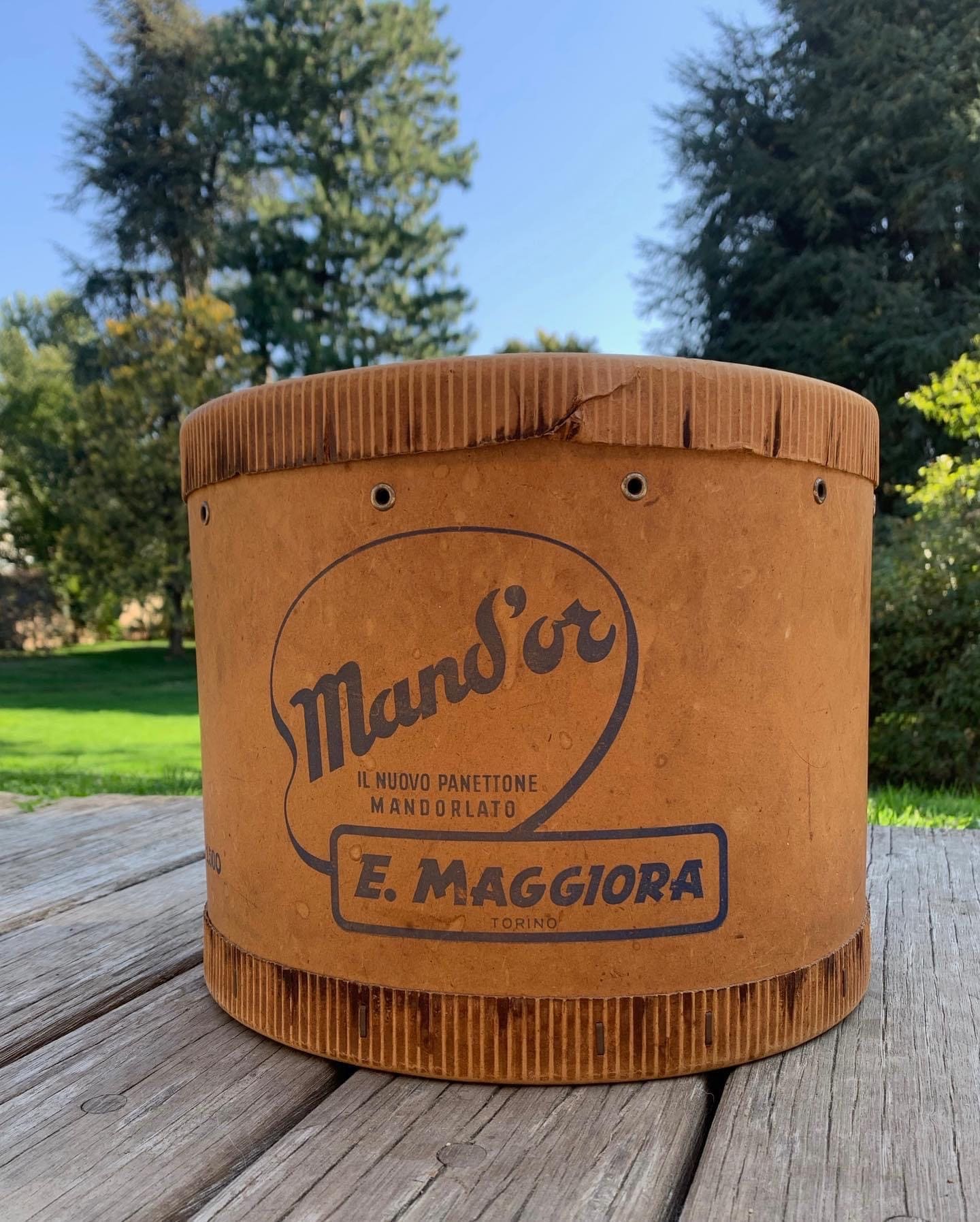 Villa La Maggiorana foto 3