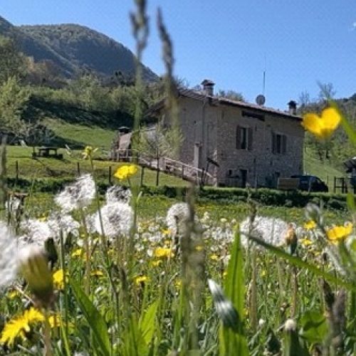Al Vecchio Mulino Agriturismo - foto 3