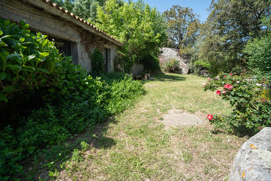 Agriturismo Testone foto 3