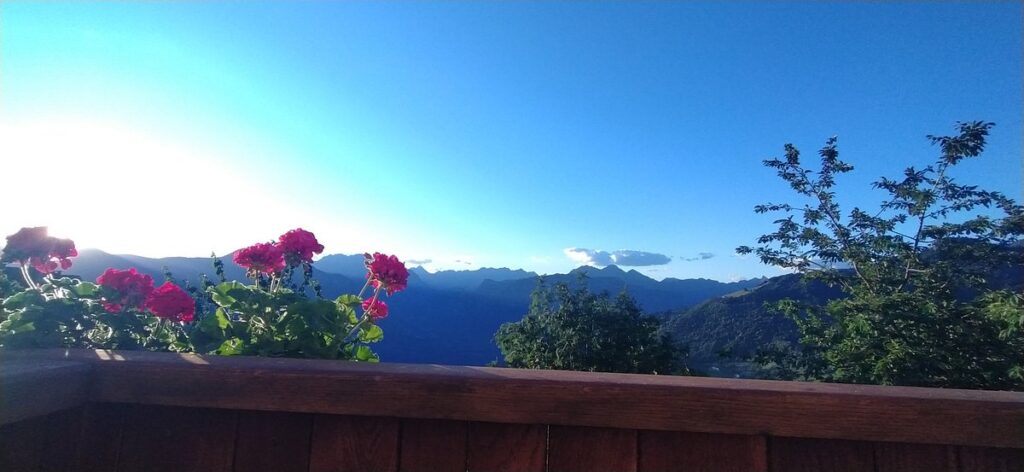 B&B Le Pateghe foto 3