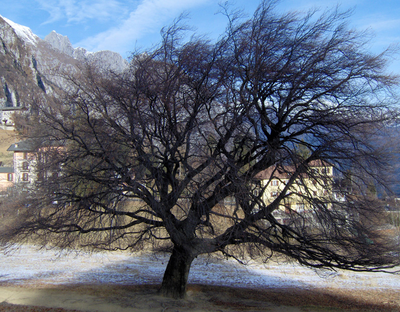 Albergo Sole foto 2