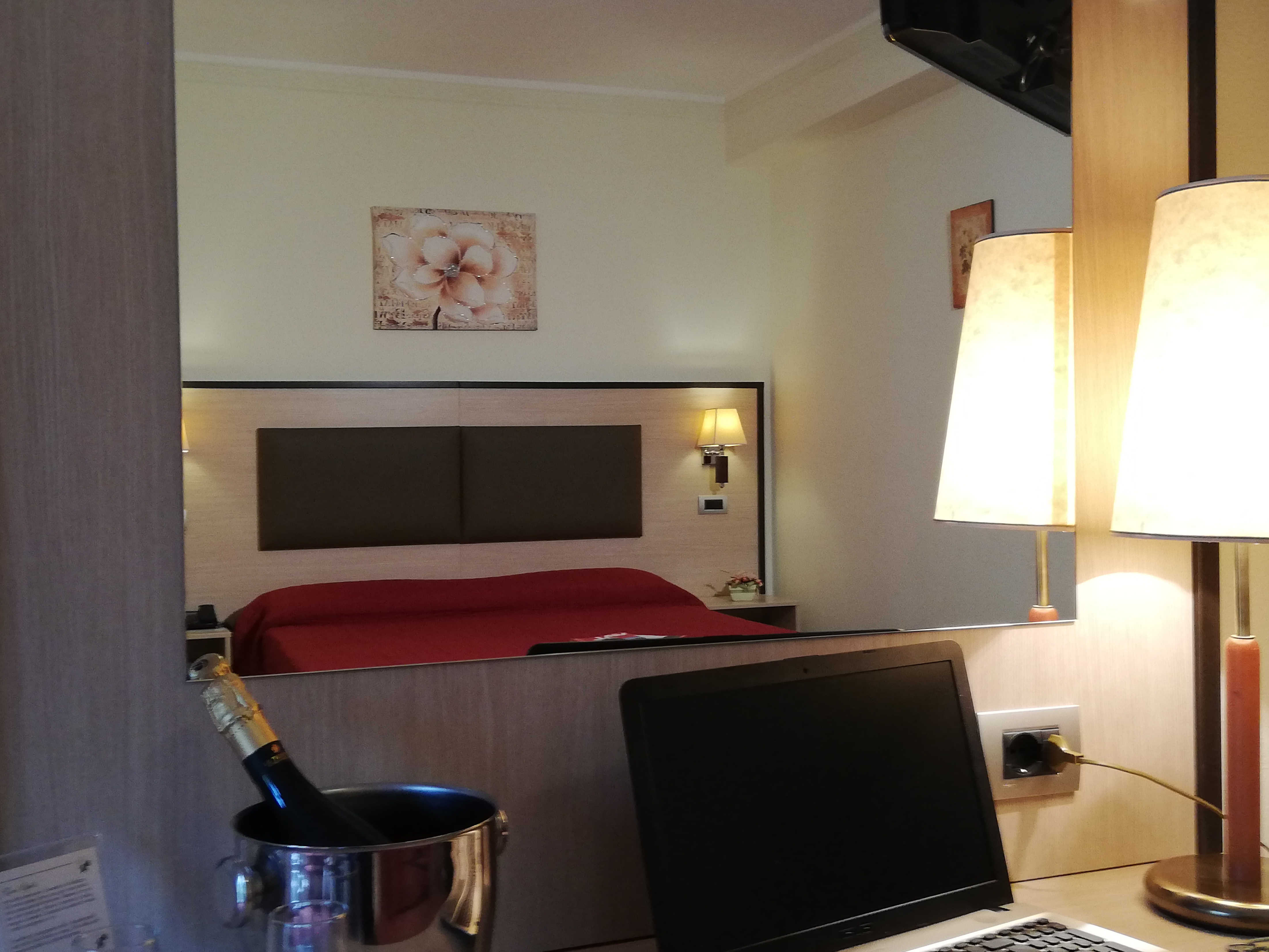 Hotel Des Alpes foto 1