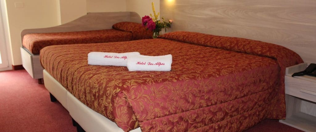 Hotel Des Alpes foto 6