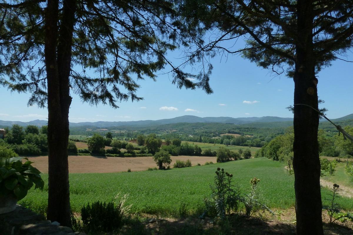 Podere Infranciani foto 6
