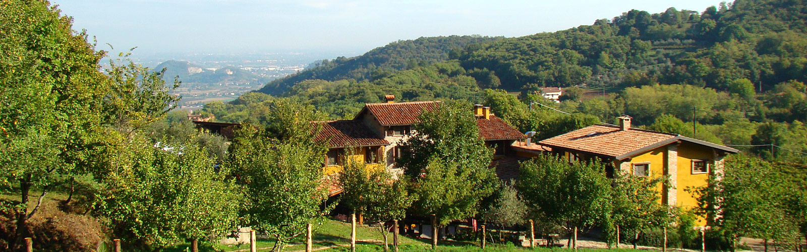 Fattoria Valle delle Gombe foto 1