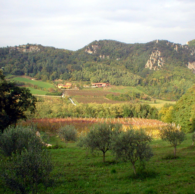 Fattoria Valle delle Gombe foto 4
