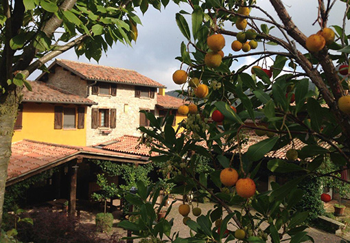 Fattoria Valle delle Gombe foto 6