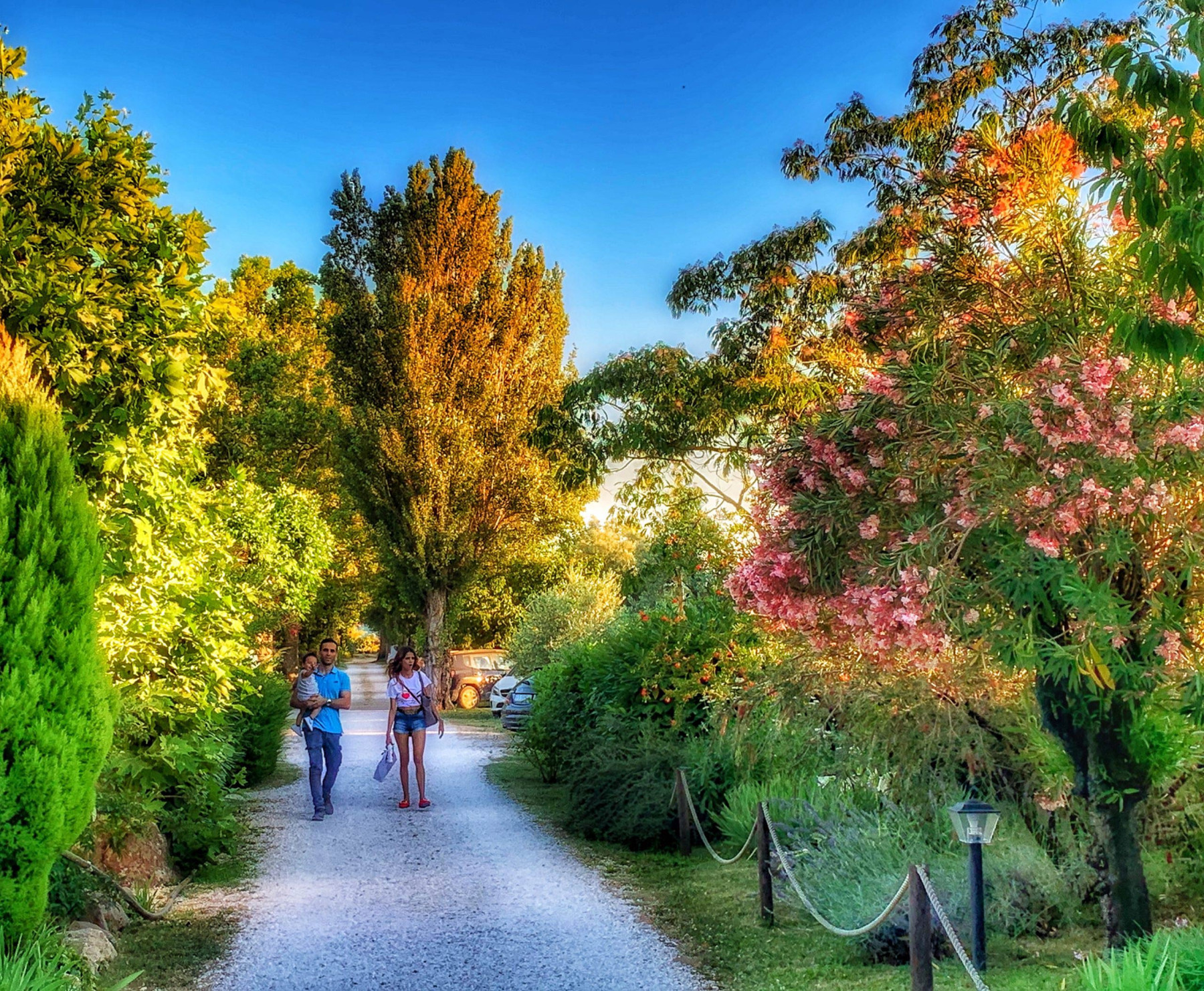 Camping Village Lago Di Bracciano foto 4