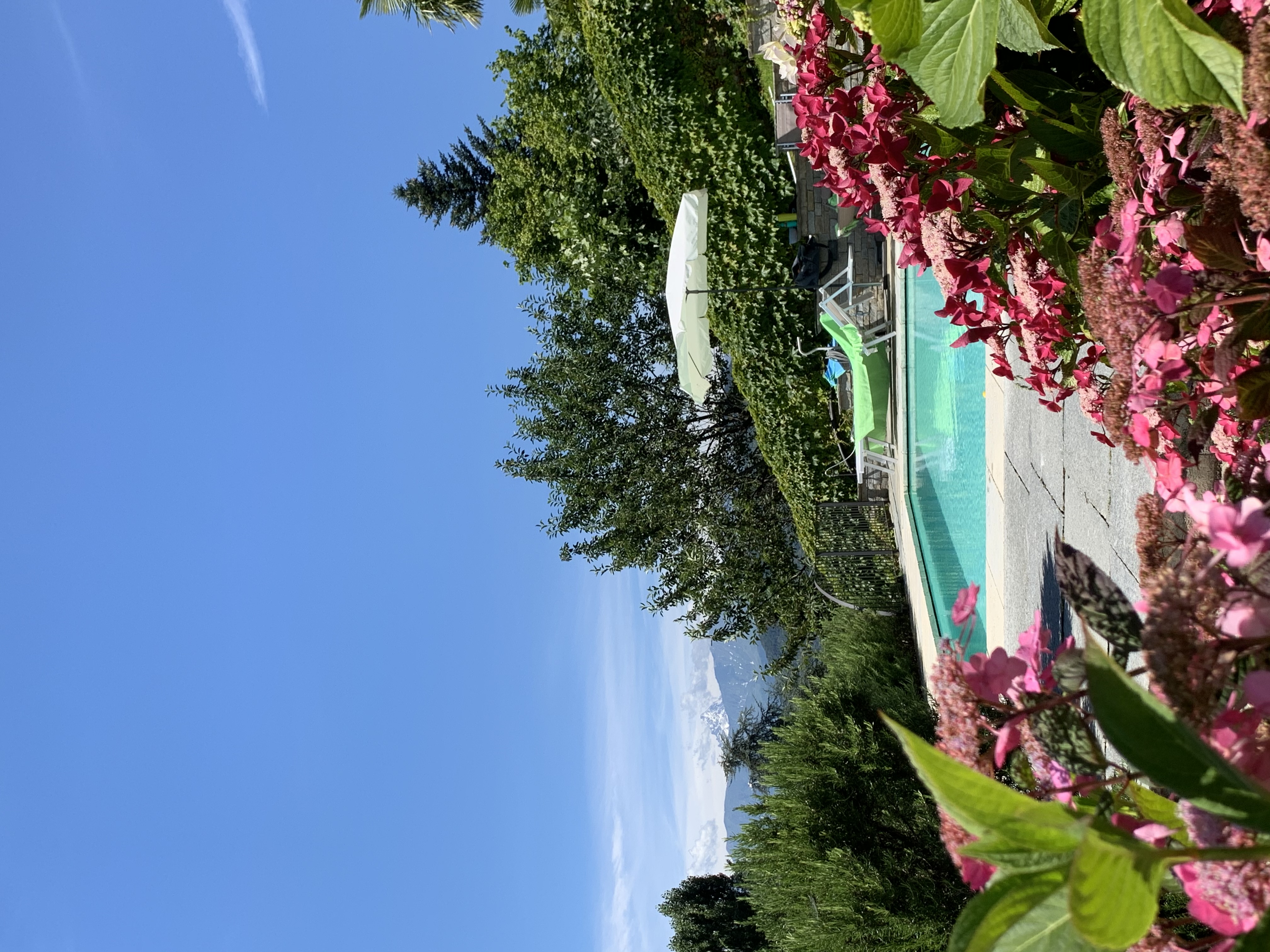 Villa le Ortensie di Carlotta foto 1