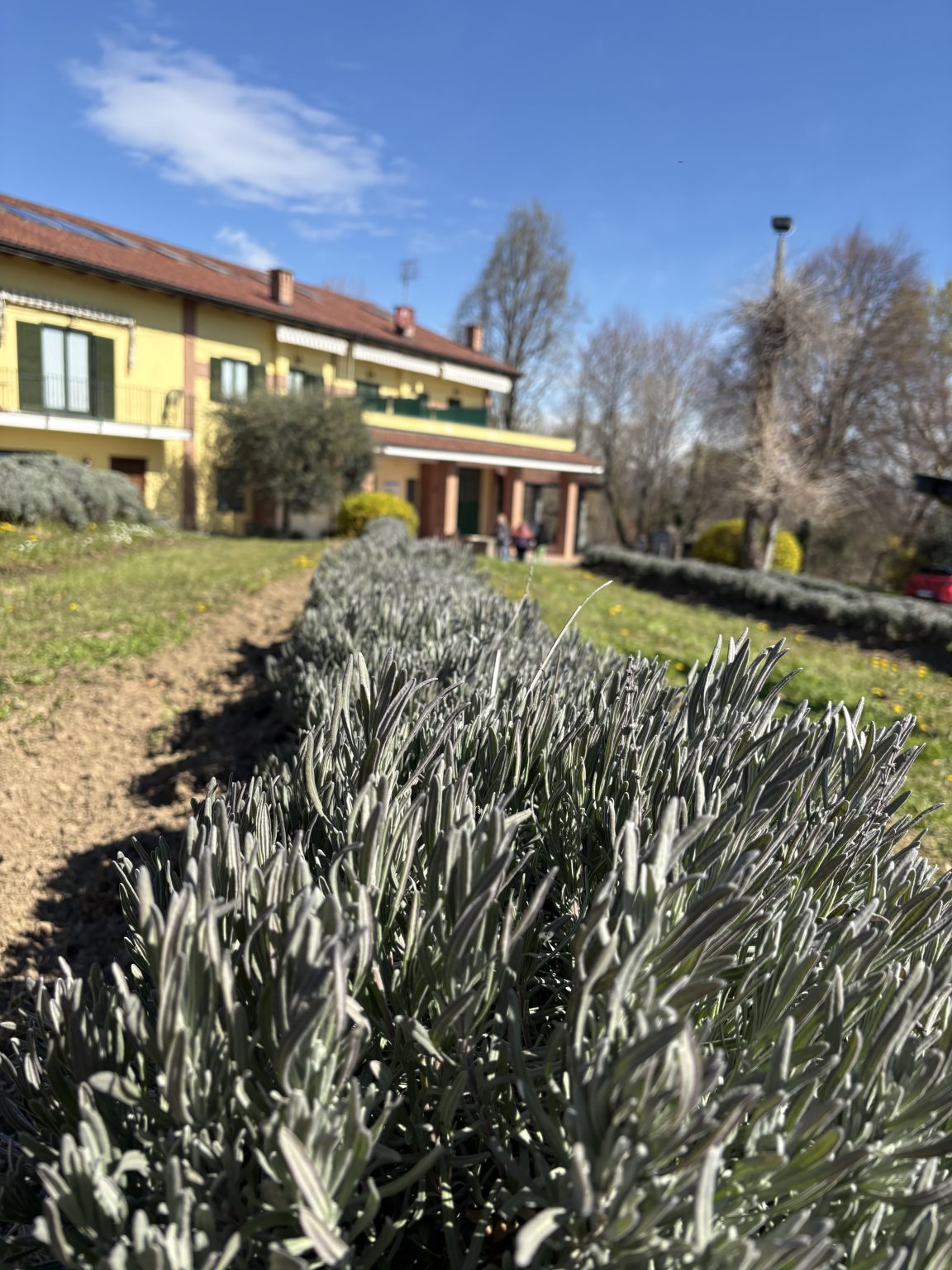 Agriturismo Turina - B&B a Bricherasio foto 5