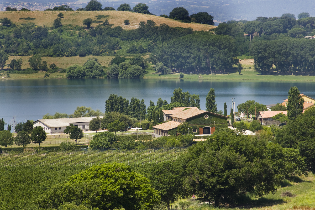 Agriturismo Potrero Grande foto 5