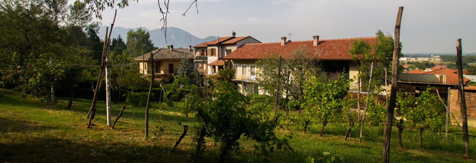 Monteoliveto B&B foto 6