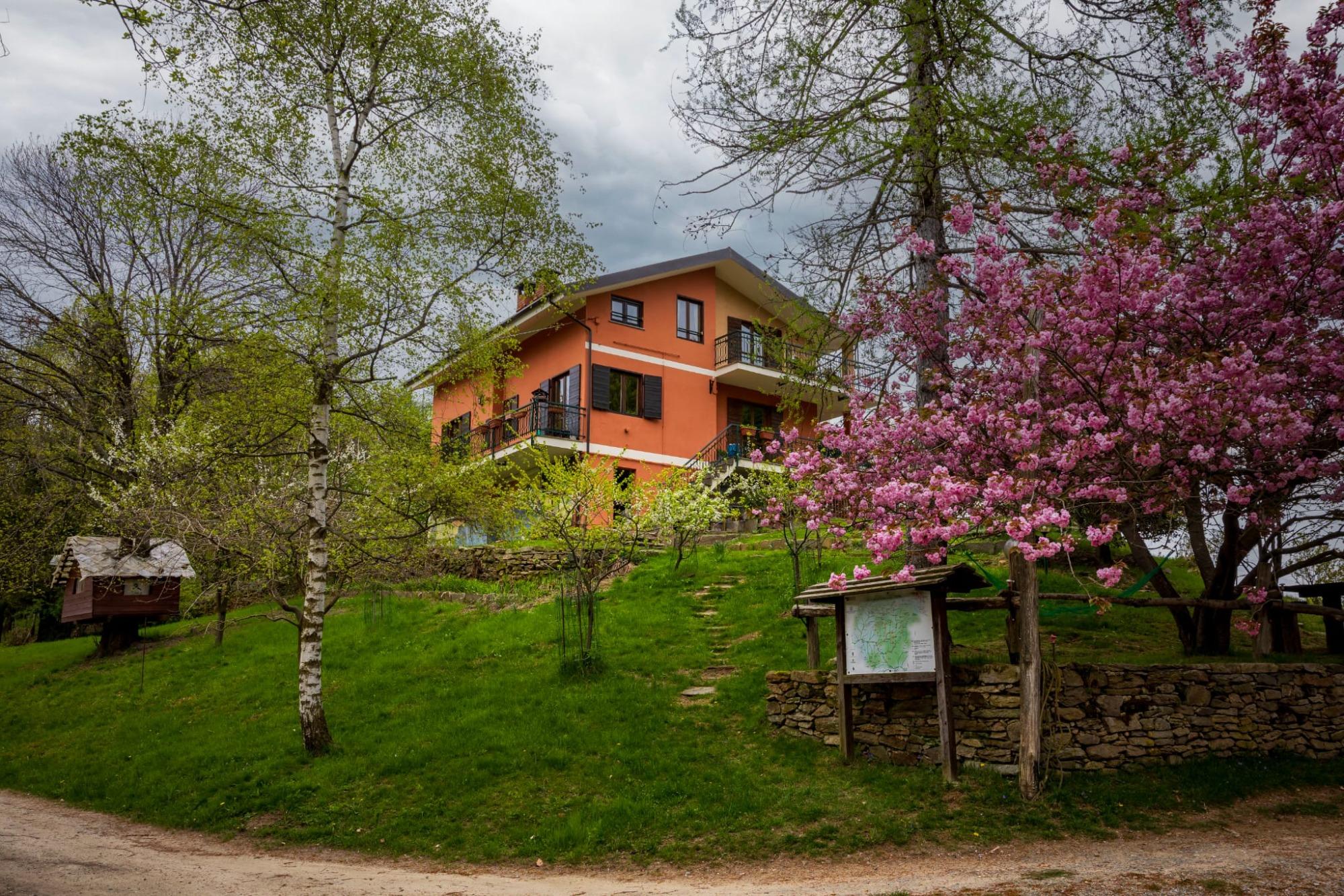 B&B Pian Savin foto 1