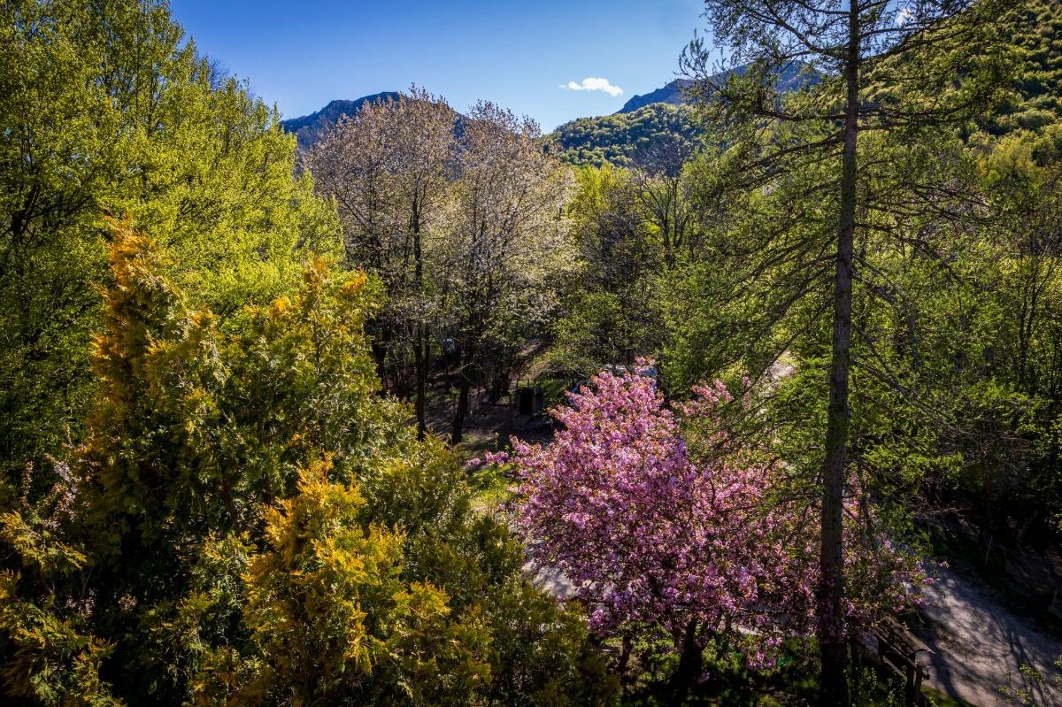 B&B Pian Savin foto 6