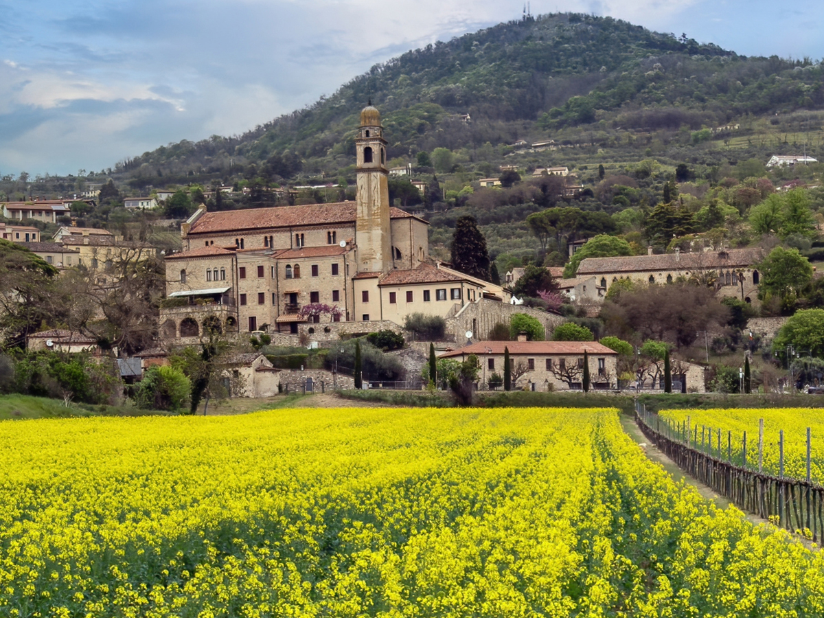 Locazione Turistica La Giuggiola foto 1