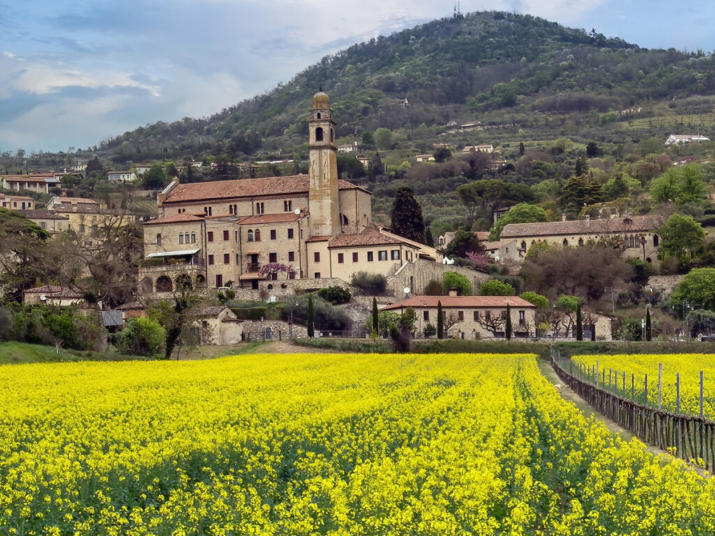 Locazione Turistica La Giuggiola foto 3