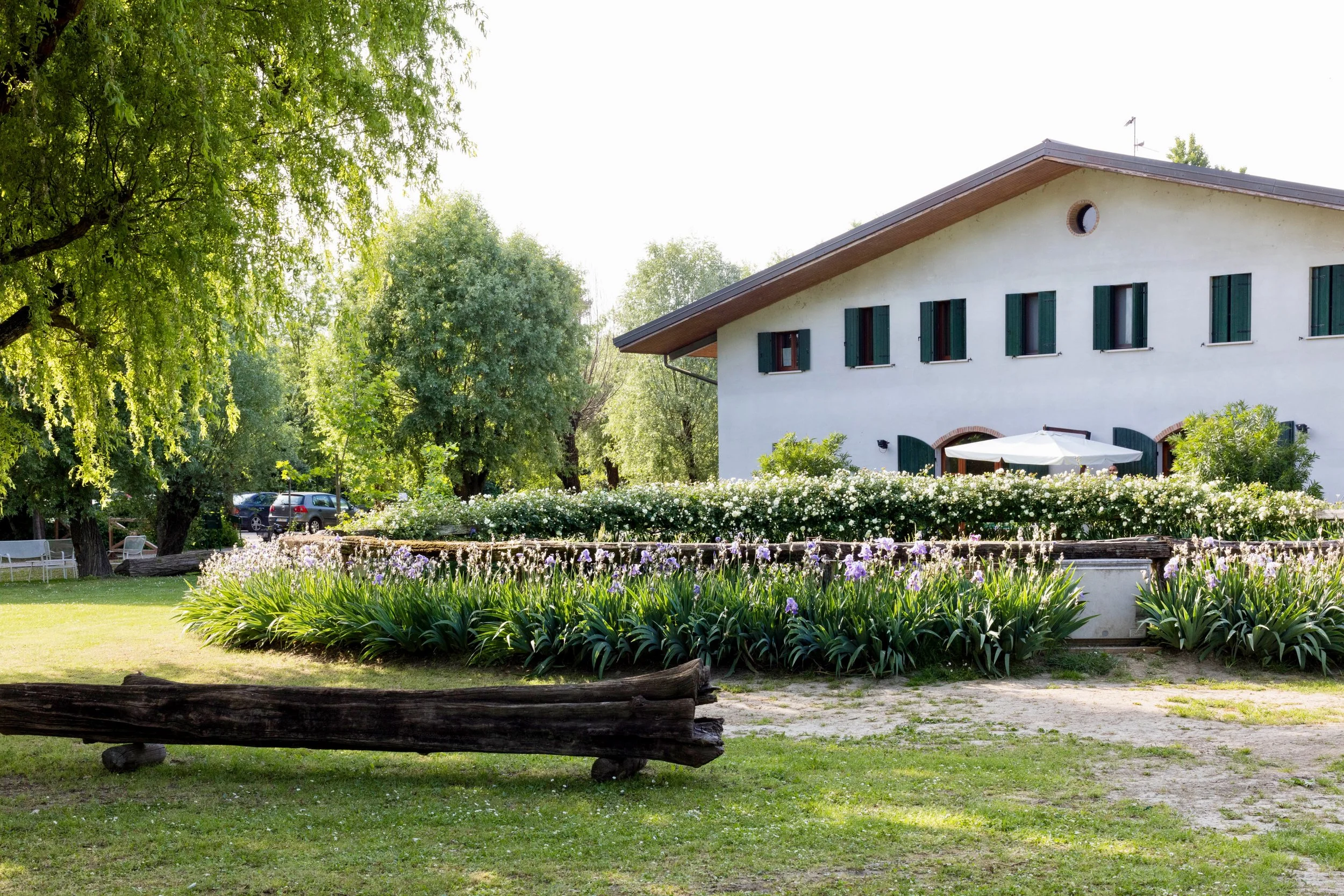 Agriturismo IL Bosco foto 1