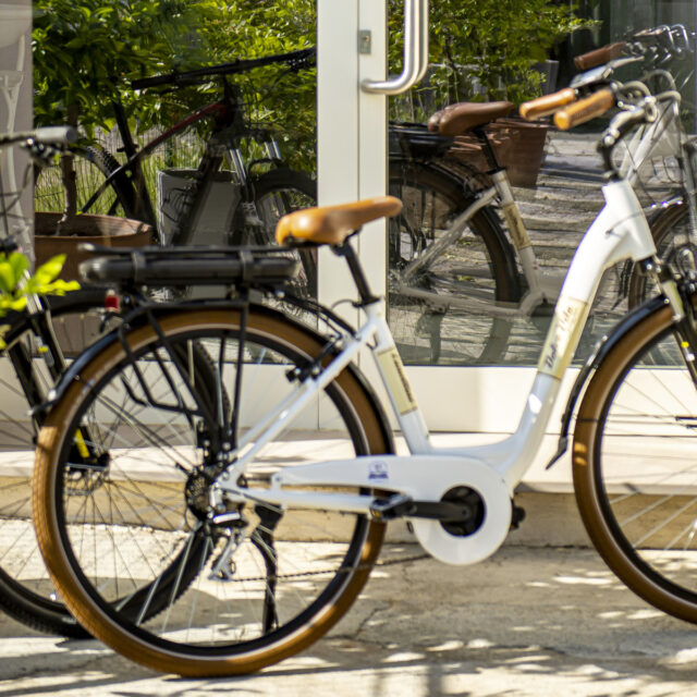 FORESTERIA LOMBARDA BED and BIKE CREMONA foto 1