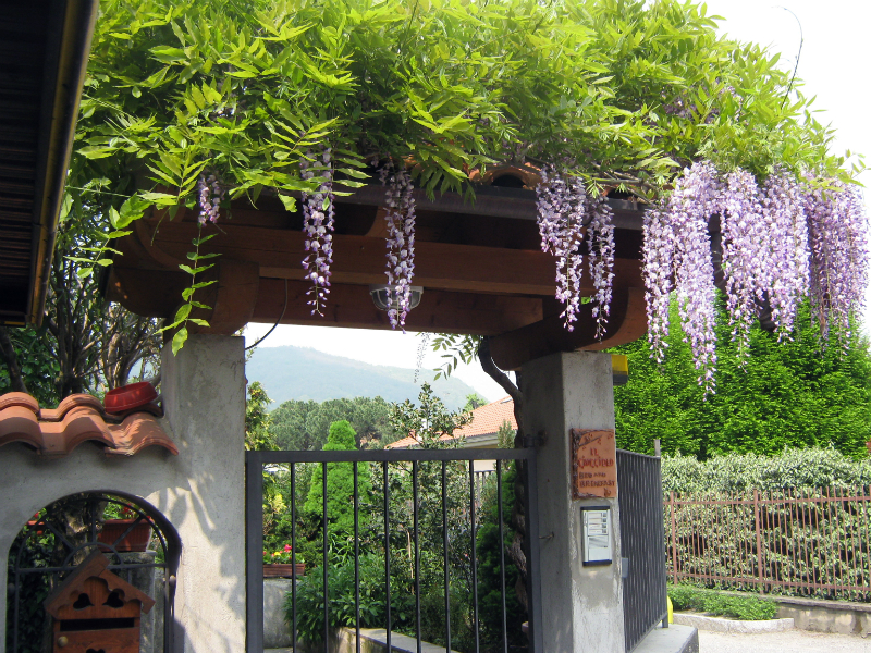 Il Giuggiolo Bed & Breakfast foto 4