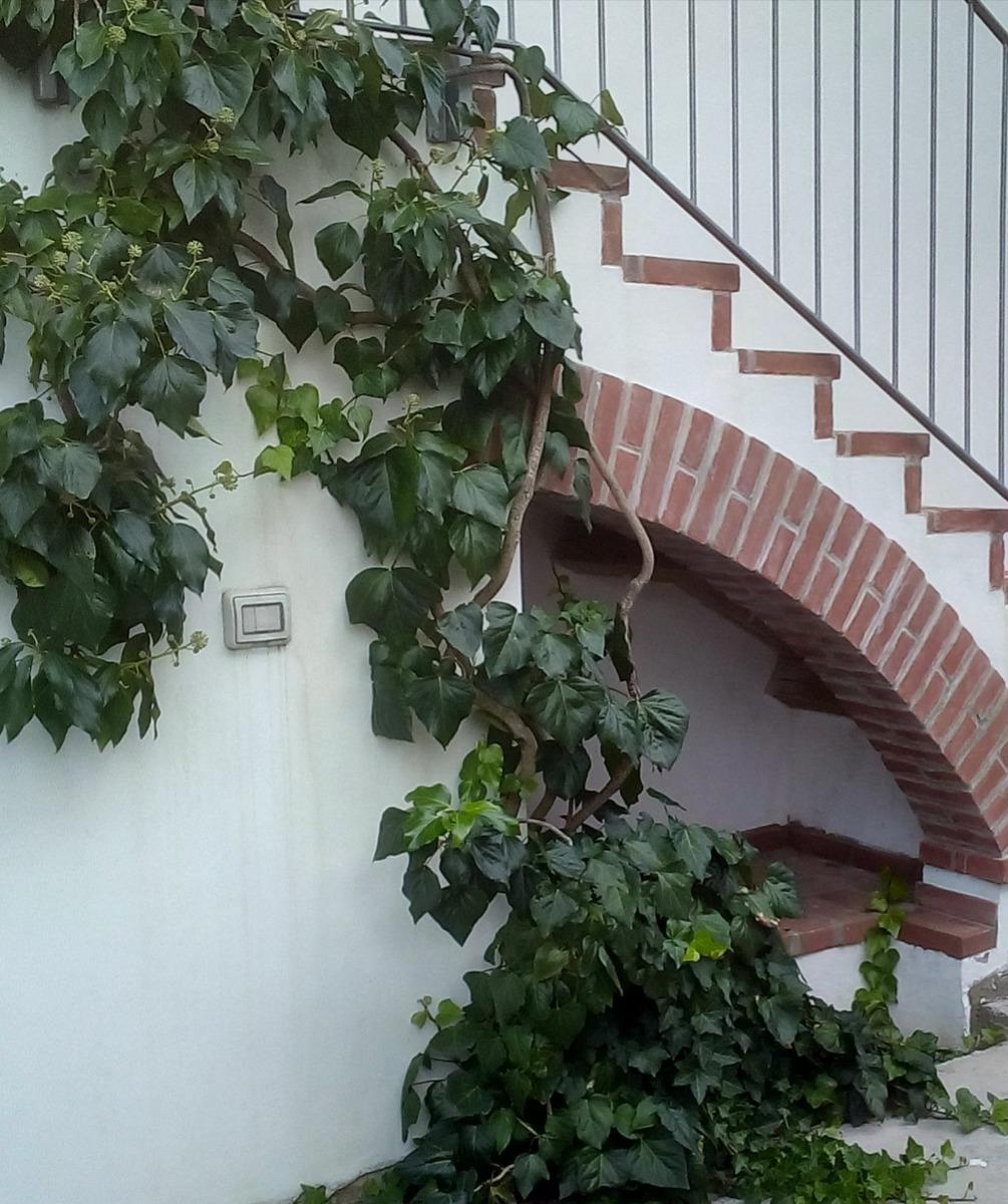 bbbolbrianza foto 1