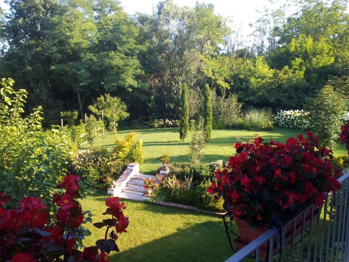 bbbolbrianza foto 3