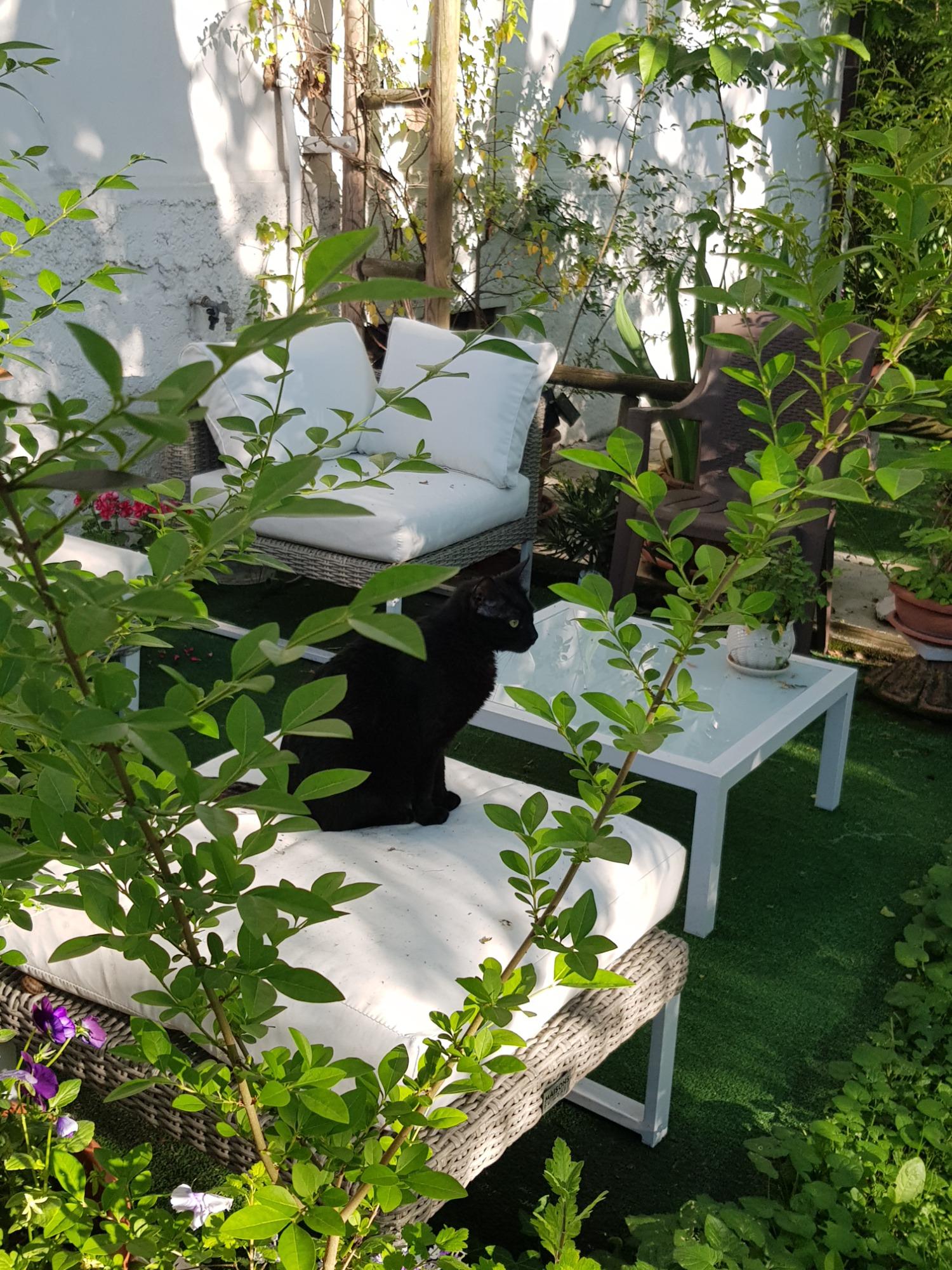 B&B White Lady foto 1
