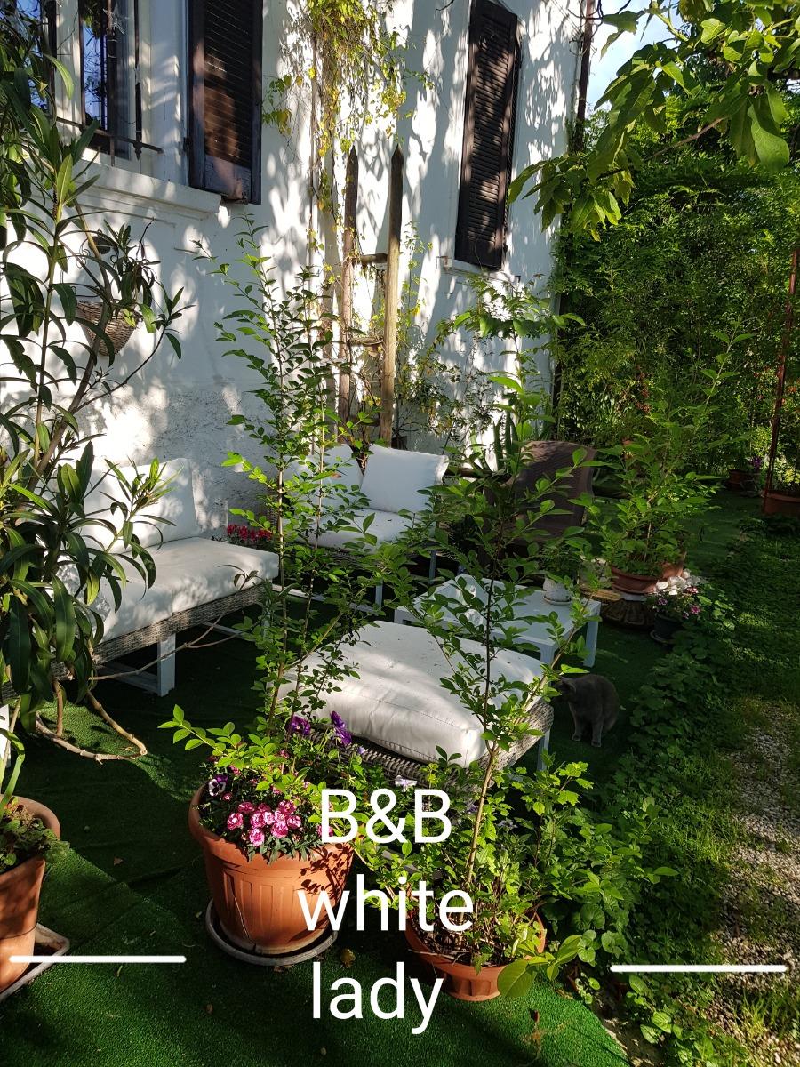 B&B White Lady foto 3