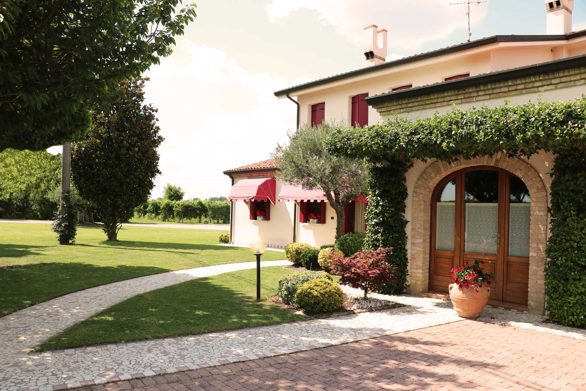 Azienda Agricola Casonato Daniele foto 3