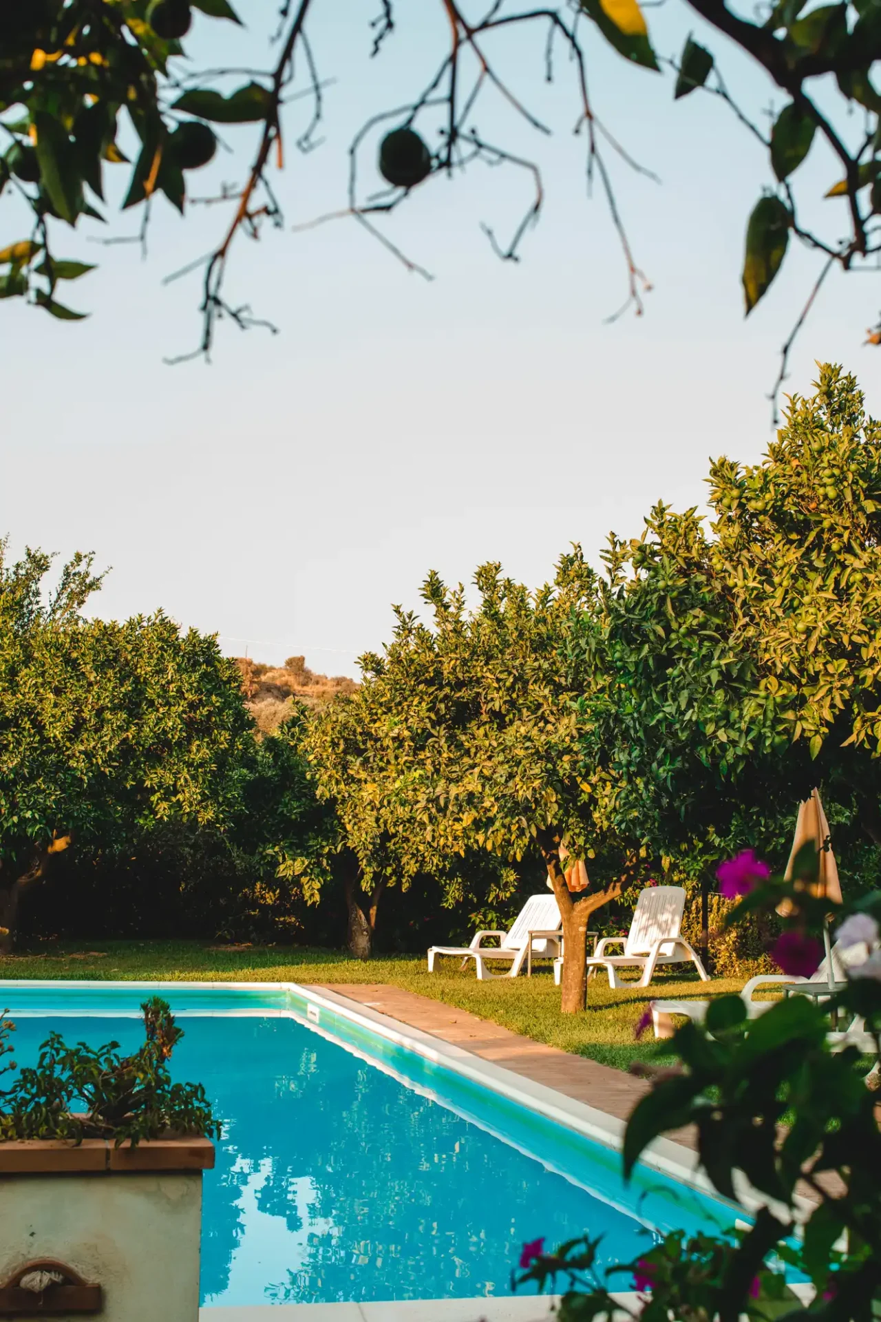 Agriturismo Villa Vittoria foto 4