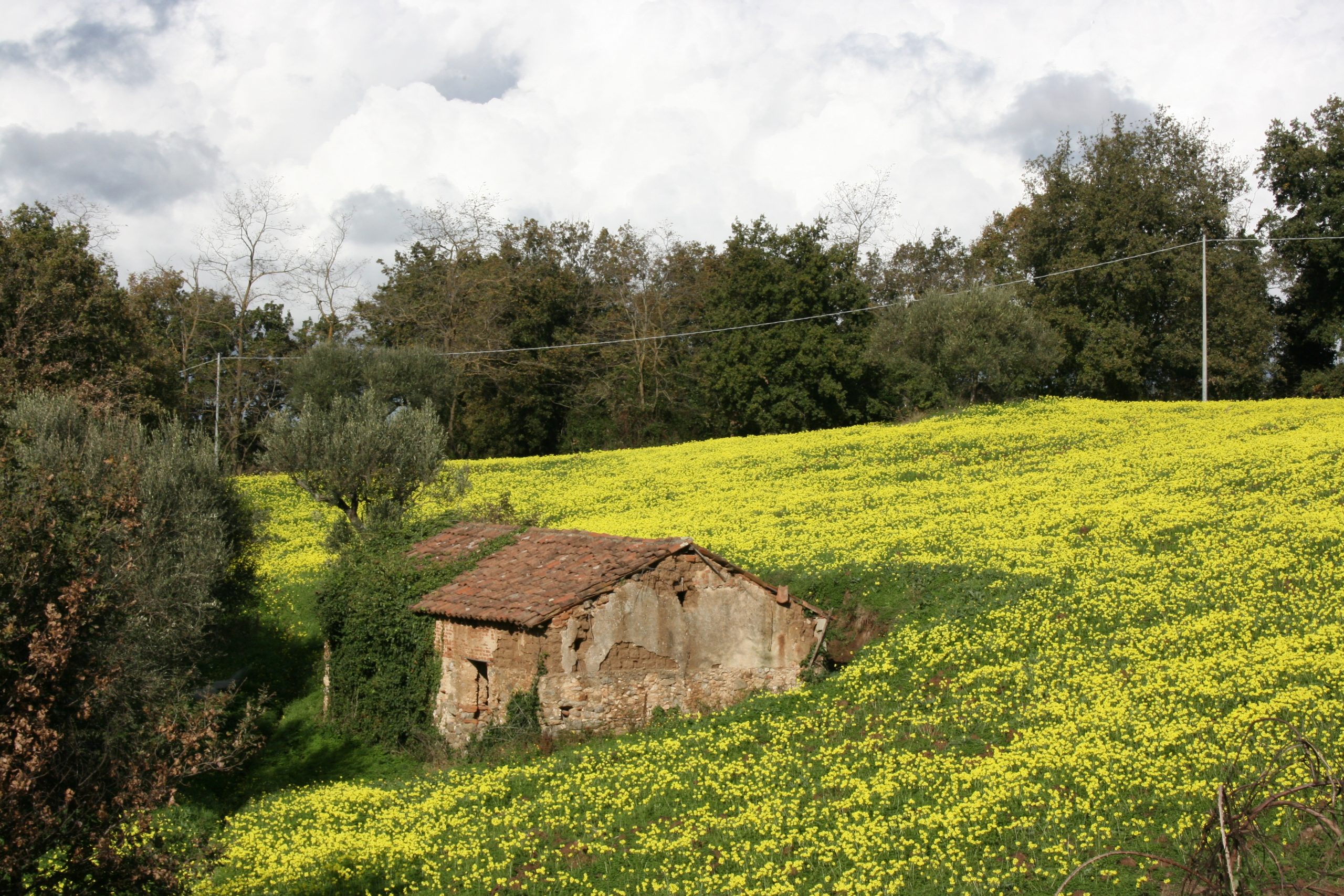 Agriturismo Ruralia foto 1