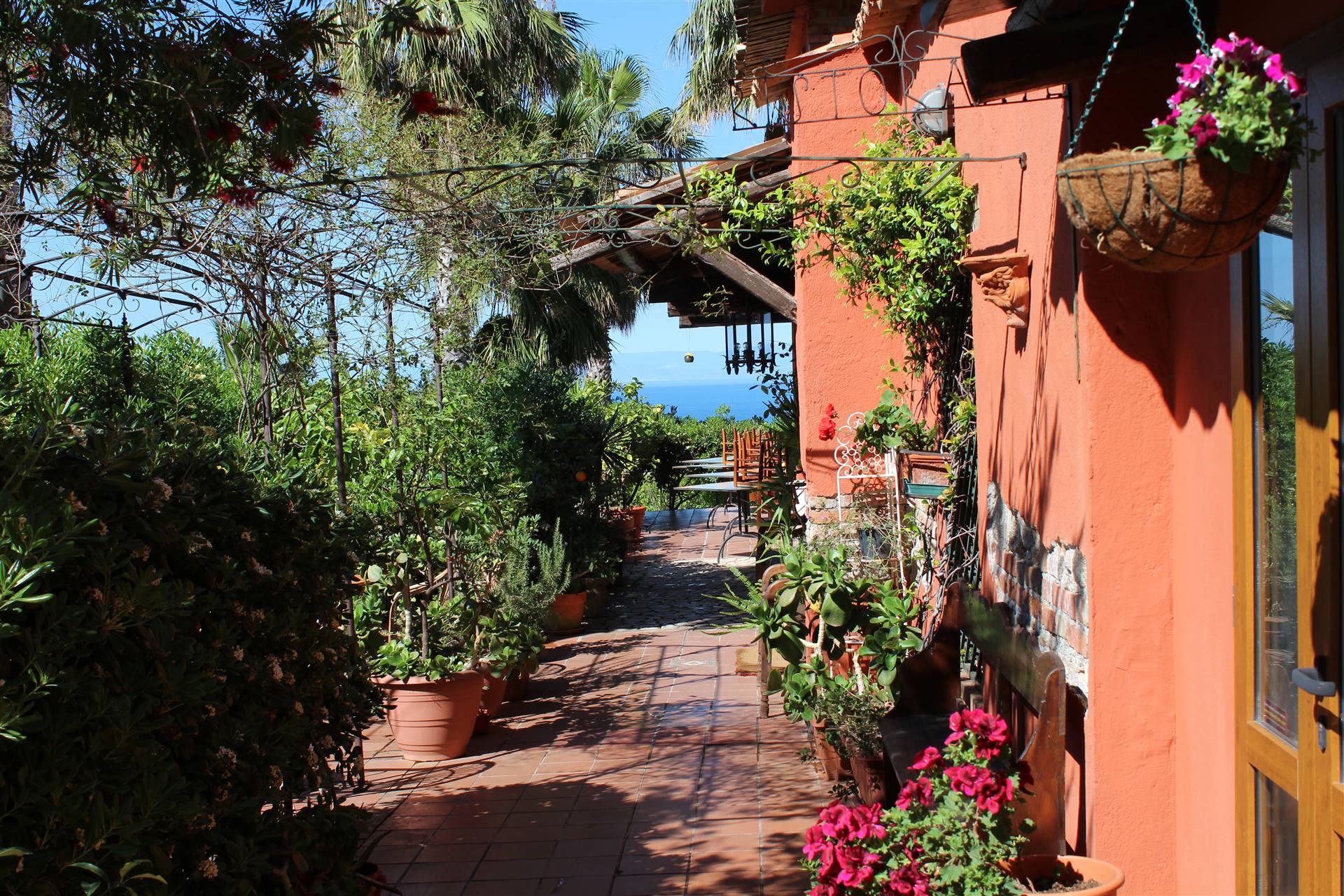 Agriturismo Ruralia foto 4