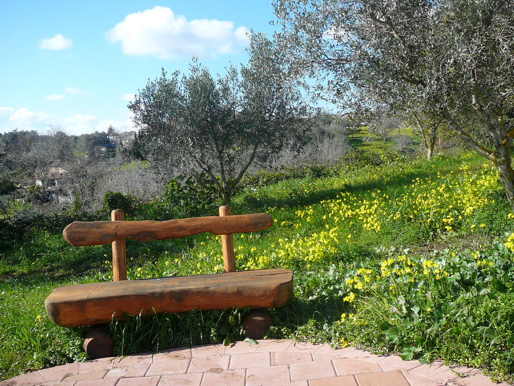 MASSERIA CAPORELLI B&B azienda agricola foto 2