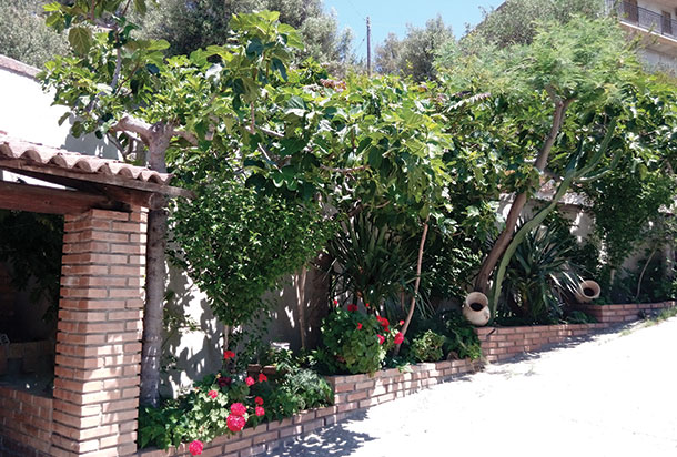 Agriturismo Mille Sapori foto 4