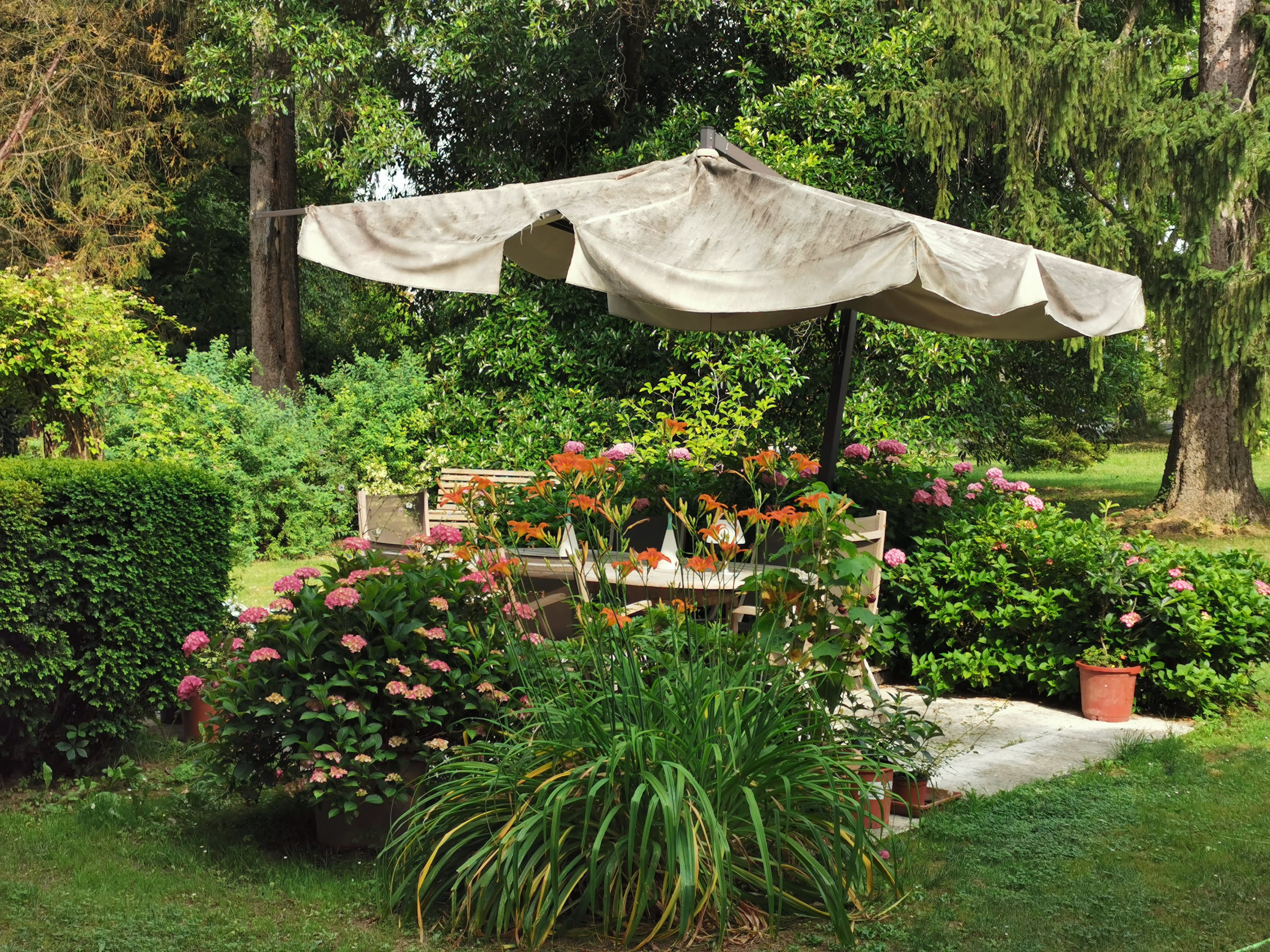 B&B Ca' Marsure foto 1