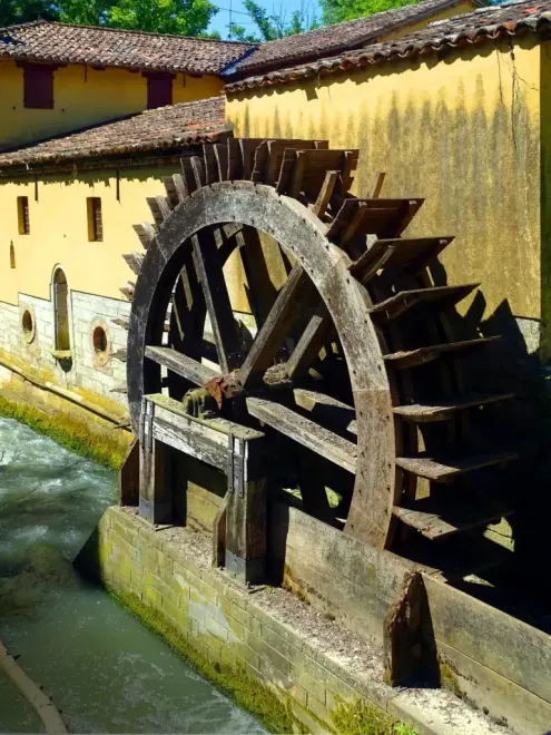 Azienda Vitivinicola Mulin di Mezzo foto 5