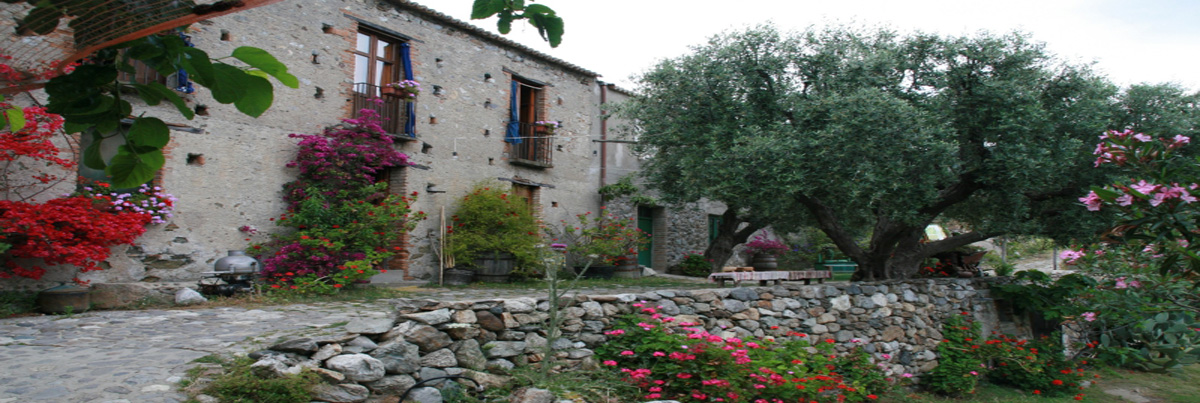 Azienda agrituristica "Il Bergamotto" foto 4