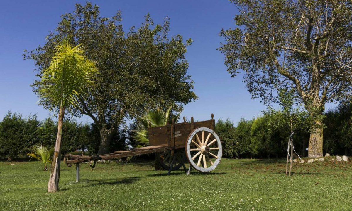 Agriturismo Il Casolare foto 4