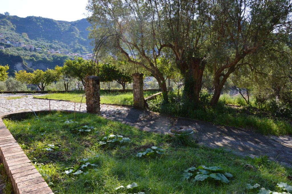 Agriturismo Cannazzi foto 5
