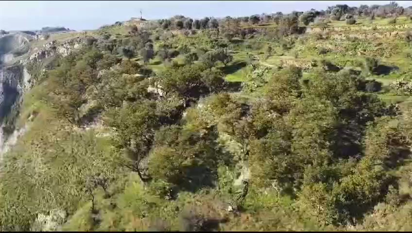 Agriturismo Sant'Anna Ortì Reggio Calabria foto 3